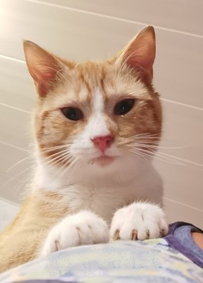 Caramel