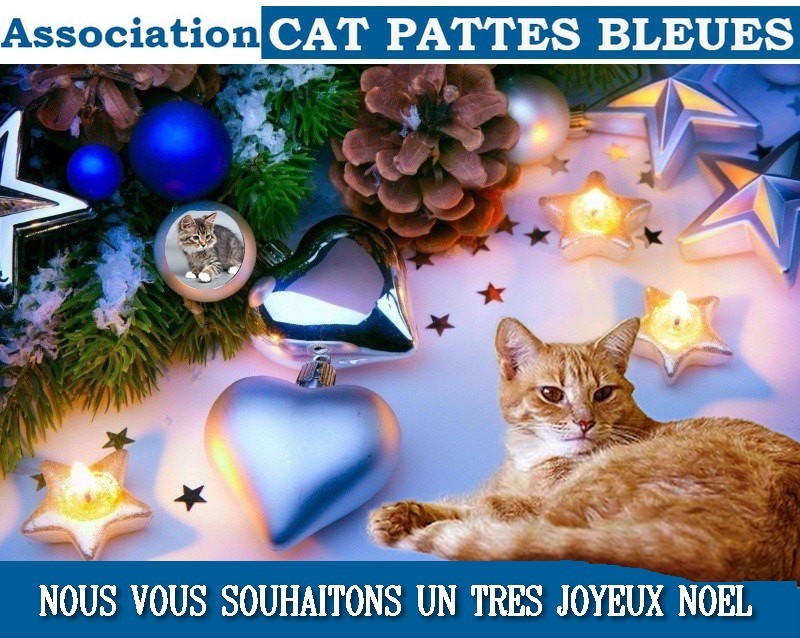 Joyeux noel