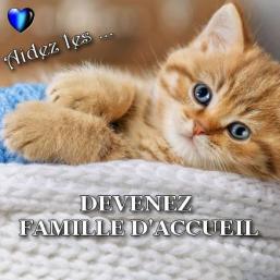 Devenez fa 11