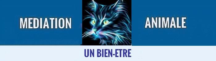 Mediation animale 3