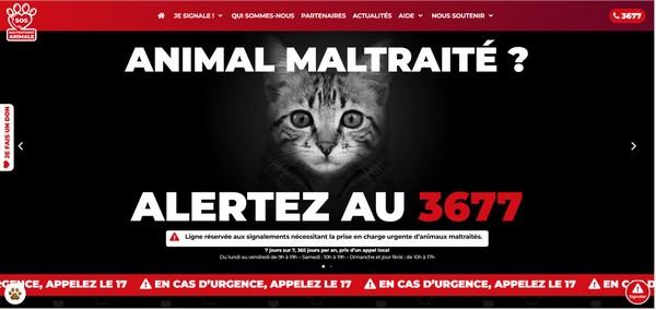 Sans titre 5